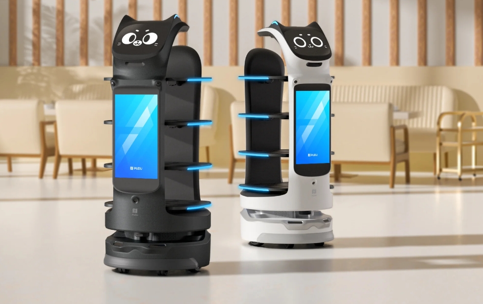 Screenshot_30-1-2025_204035_www.pudurobotics.com